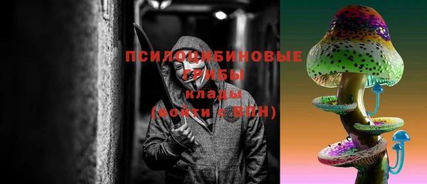 mdma Протвино