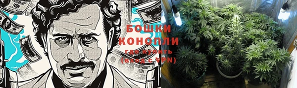 PSILOCYBIN Абинск