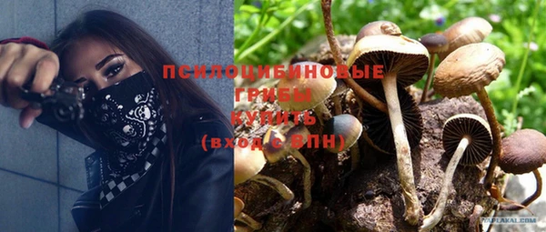 PSILOCYBIN Абинск
