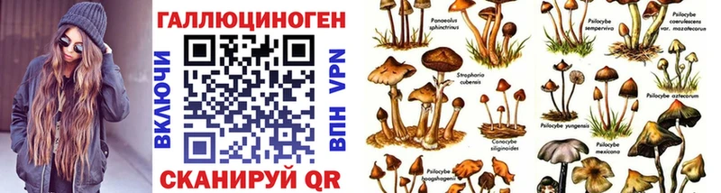 Псилоцибиновые грибы GOLDEN TEACHER  Дубовка 